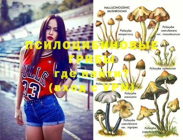 мяу мяу мука Балабаново