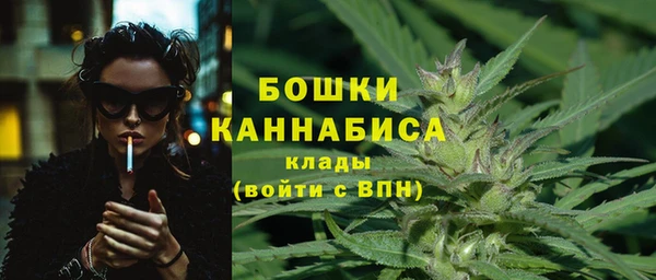 винт Пестово